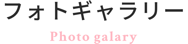 フォトギャラリー